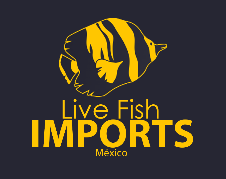 Live Fish Imports Mexico - Importacion de Peces Vivos Mexico